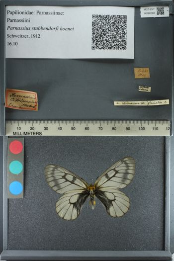 Media type: image;   Entomology 180169